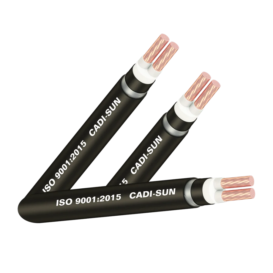 Cáp đồng ngầm 2 ruột - DSTA 2x