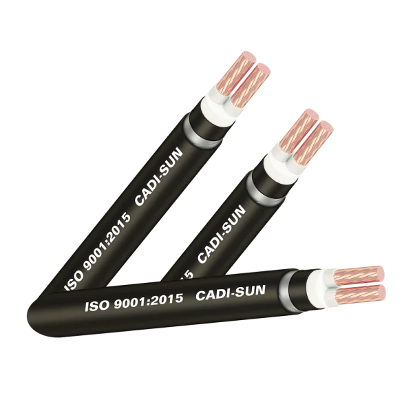 Cáp đồng ngầm 2 ruột - DSTA 2x